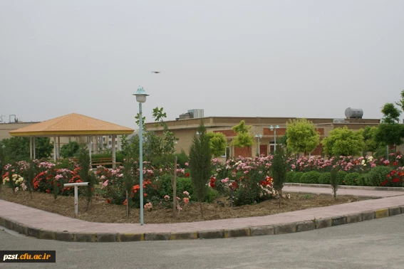 محوطه پردیس زینبیه