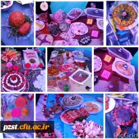 جشنواره غذا