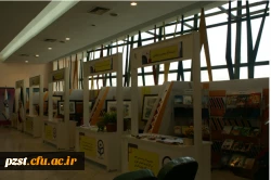 شرکت دانشجویان پردیس زینبیه در چهل و پنجمین جشنواره فیلم رشد دانشگاه فرهنگیان