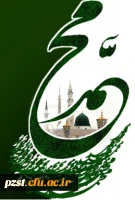 رحلت جانسوز پیامبر