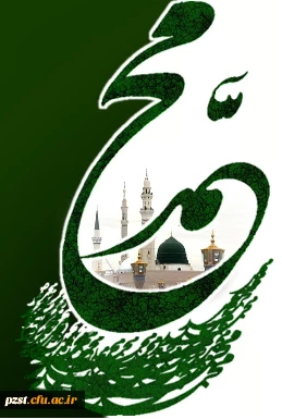 رحلت جانسوز پیامبر