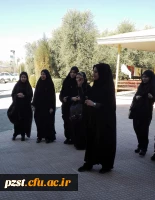 مسابقه دارت