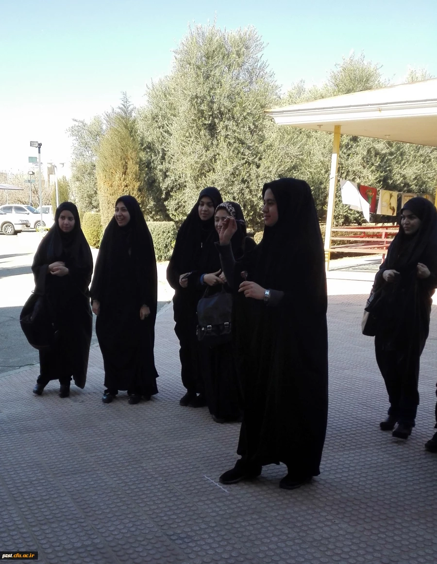 مسابقه دارت