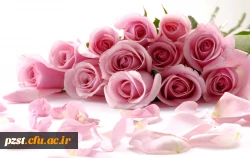 میلاد حضرت علی مبارک باد