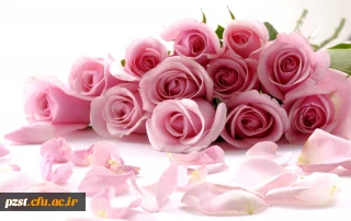 جشن میلاد حضرت علی (ع) در خوابگاه پردیس زینبیه