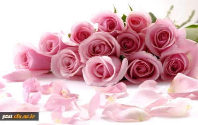 جشن میلاد حضرت علی (ع) در خوابگاه پردیس زینبیه