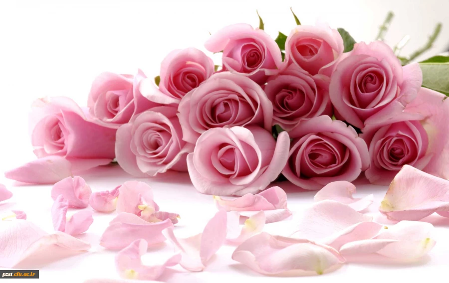 میلاد حضرت علی مبارک باد