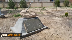 پروژه رفاهی 