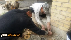 دو باغبانِ مهربان...