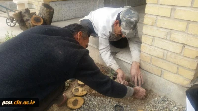 دو باغبانِ مهربان...