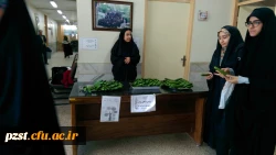 توزیع میان وعده سالم