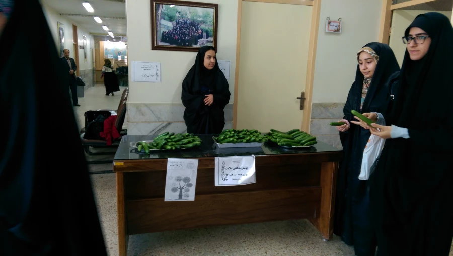 توزیع میان وعده سالم