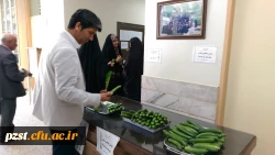 توزیع میان وعده سالم