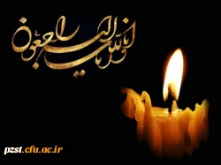 جناب آقای شیرکوند و جناب آقای اکار ما را در غم خویش شریک بدانید...