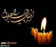 ما را در غم خود شریک بدانید... 2