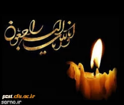 ما را در غم خود شریک بدانید... 2