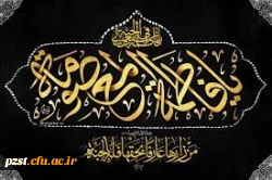 سالگرد رحلت جانگداز حضرت فاطمه معصومه(س) بر همه دلدادگان تسلیت باد 2