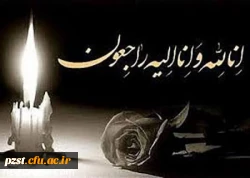 ما را در غم خود شریک بدانید... 2