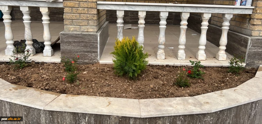 روز درختکاری گرامی باد 3