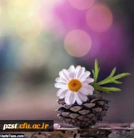 پیام تبریک سرپرست پردیس به مناسبت شروع سال 1401 شمسی، حلول ماه مبارک رمضان و از سرگیری آموزش حضوری  2