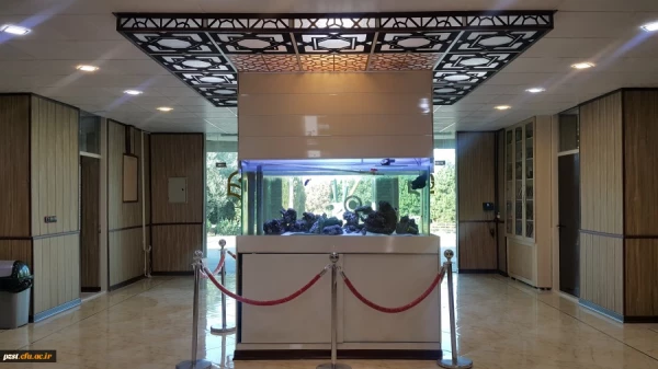 تصاویر پردیس