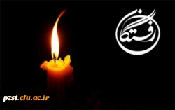 مراسم یادبود استاد گرانقدر جناب آقای دکتر احمد صابری راد 2