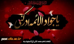 شهادت غریبانه جوان ترین شمع هدایت و نهمین بحر کرامت، امام محمد تقی (ع) بر شما تسلیت باد 2