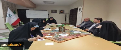 دیدار با خانم دکتر خزعلی، معاون محترم رئیس جمهور در امور زنان و خانواده