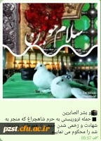 حمله تروریستی به حرم شاهچراغ 2