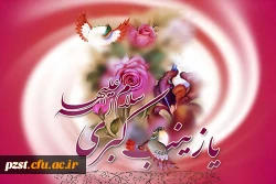 ولادت قهرمان فصاحت و بلاغت، و مظهر مهربانی و عطوفت، عقیله بنی هاشم زینب کبری (س) مبارک باد 2