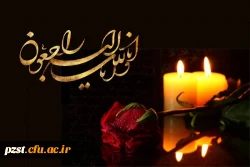 انا لله و انا الیه راجعون و یبقی وجه ربک ذوالجلال و الاکرام
برادر ارجمند جناب آقای دکتر غیاثی 