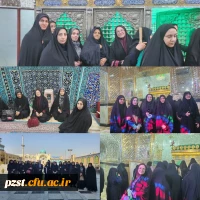 آیئن غبارروبی مضجع شریف و نورانی حرم مطهر امامزاده جعفر ابن موسی الکاظم (ع) 2