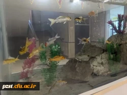 گزارشی مختصر از ۴۸ روز تلاش بی وقفه:
 ادامه روند آماده سازی فضاهای مورد نیاز و کاربردی در پردیس زینبیه به صورت پیوسته حتی درروزهای تعطیل