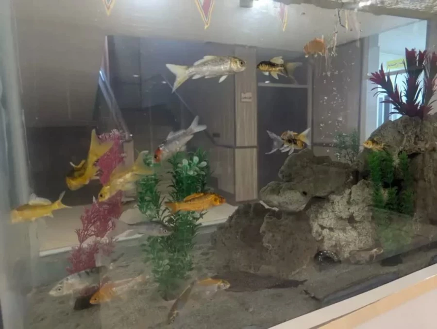 گزارشی مختصر از ۴۸ روز تلاش بی وقفه:
 ادامه روند آماده سازی فضاهای مورد نیاز و کاربردی در پردیس زینبیه به صورت پیوسته حتی درروزهای تعطیل