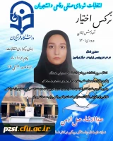 پوستر تبلیغاتی کاندیدای شورای صنفی رفاهی 1404