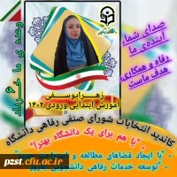 پوستر تبلیغاتی کاندیدای شورای صنفی رفاهی 1404