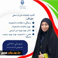 پوستر تبلیغاتی کاندیدای شورای صنفی رفاهی 1404