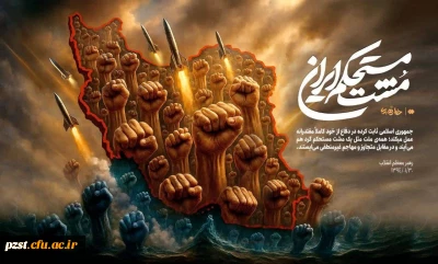 طرح مشت مستحکم ایران