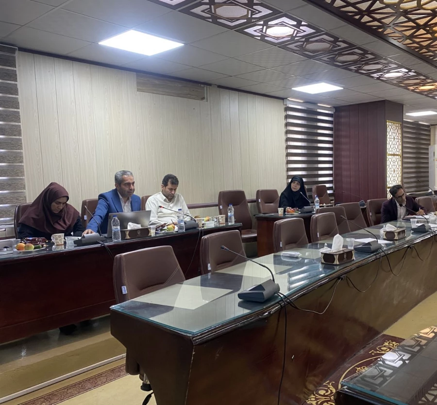 برگزاری کارگاه تالیف و ترجمه کتاب های دانشگاهی  6