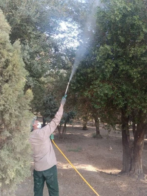  آماده کردن هر دو مجموعه (پیشوا و ورامین) با هدف آمادگی بیشتر برای استقبالی متفاوت از مهر ۱۴۰۴ 13