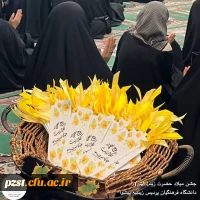 برگزاری مراسم جشن ولادت حضرت زینب(س) 5