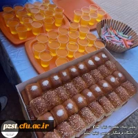 برگزاری مراسم جشن ولادت حضرت زینب(س) 6