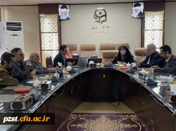 نشست تخصصی مسئولان پردیس با اعضای هیات علمی 3
