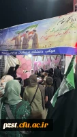 به مناسبت ولادت حضرت معصومه(س) و روز دختر چهل و نهمین شب اجتماع و اقتدار موکب دانشگاه فرهنگیان پردیس زینبیه به رنگ صورتی شد 12