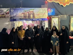 به مناسبت ولادت حضرت معصومه(س) و روز دختر چهل و نهمین شب اجتماع و اقتدار موکب دانشگاه فرهنگیان پردیس زینبیه به رنگ صورتی شد 13