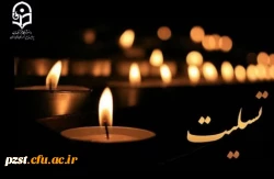 پیام تسلیت ضایعه درگذشت مادر گرامی دکتر علی محمدی ریئس دانشگاه فرهنگیان استان تهران  2